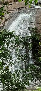 4 Acre Woods Farm Stay