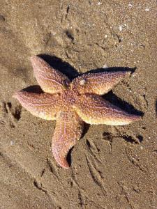 B&B / Chambres d'hotes VILLA CATHY Chambres d hotes : photos des chambres