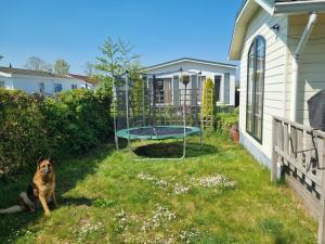 vakantiehuis in zeeland