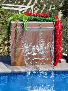 Casa Carmen, Montefrio