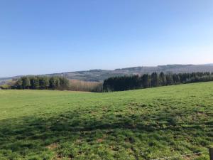 Les Caliciades 1 à Gros-Fays