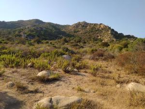 Casa vacanze Wally a Posada, Sardegna img43