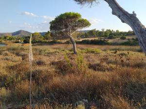 Casa vacanze Wally a Posada, Sardegna img45