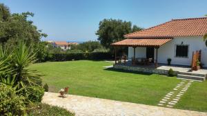 Dora Apartments Zakynthos Greece