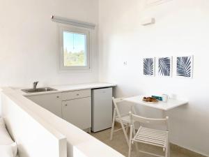 Palm Suite Blue
