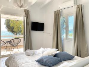 Palm Suite Blue