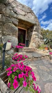 Il Nuraghe del lago Coghinas img15