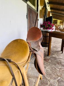 Il Nuraghe del lago Coghinas img12