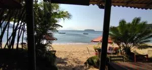 Morango das Palmas - Praia de Palmas