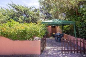 Il ginepro e la lantana img25