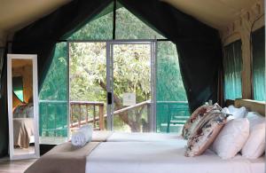 Lions Rock Rapids - Luxury Tented Camp