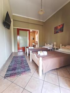 Calondri Apartment 1 in Achilleion Region