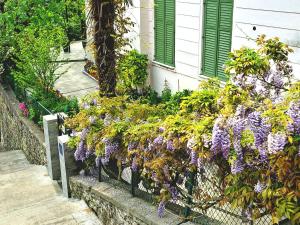 Room soba u Opatiji Na Lipovici