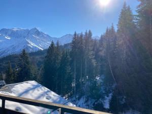 Appartement Saint Gervais les Bains piscine et vue imprenable Mont Blanc