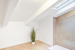 Via Corfù Cozy Nest