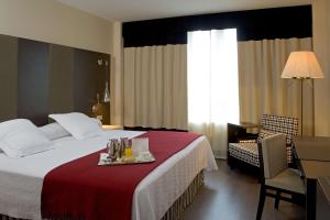 Standard Single Room room in NH Valladolid Bálago