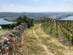 Appartements CONDRIEU T3 Climatise 2eme etage : photos des chambres