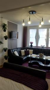 Apartament Zamość Fiolet