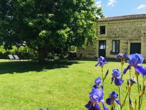 Maisons de vacances Gite Au Boom Coeur : photos des chambres