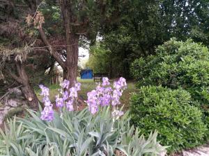 Agriturismo La Fornace di Rossi Stefano