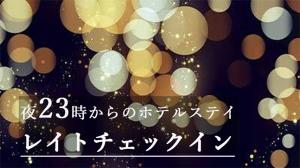 Hotel Plaisir Akihabara