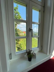 Ferienhaus Traminer im Weinberg