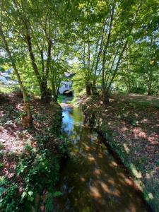 Appartements Gite Moulin Urketa : photos des chambres