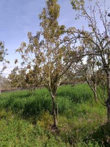 Cabaña para vacacionar