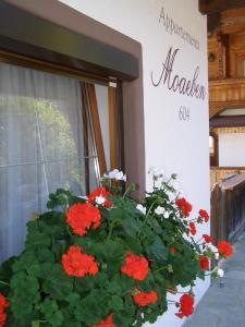 Appartement Moaeben