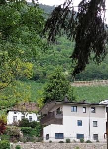 Marlingsuites - Vinea - Wieser Josef - Marling