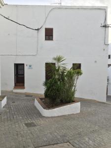 Studio with Balcony room in Casas Manolo