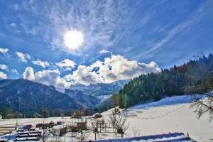 Ferienwohnungen Wanderparadies Bauernhof
