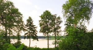 Stodoła 95