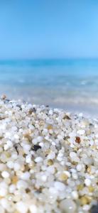 Monolocale in un piccolo paradiso