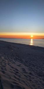 Il ginepro e la lantana img40