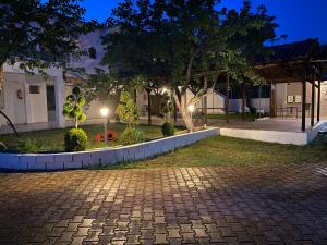 V-Suites