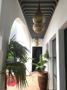 Riad Bab aylen - Piscine Roof Top chauffée