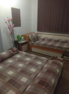 къща за гости Велина - Ubytování bez kategorie ve městě Pavel Banja