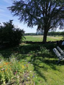 Maisons de vacances Gite Belle Fleur 6 personnes- Vosges : photos des chambres