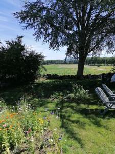 Maisons de vacances Gite Belle Fleur 6 personnes- Vosges : photos des chambres