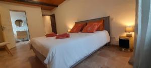 B&B / Chambres d'hotes Mas de Boissiere - Chambres d'hotes avec piscine et jacuzzi : photos des chambres
