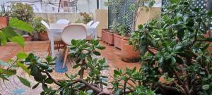 Valencia Green Penthouse