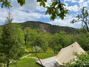 Tinutul Luanei Glamping Resort