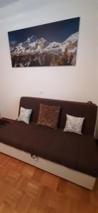 Apartma Dana-Brinjtesa