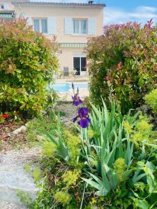 Maisons de vacances MAISON AXALY SAINT MARTIN D’ARDECHE 12 PERSONNES AVEC PISCINE : photos des chambres