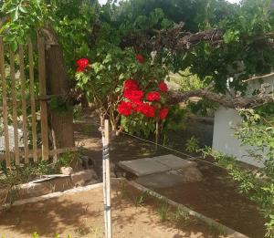 Karoo Manor Guesthouse and Restaurant