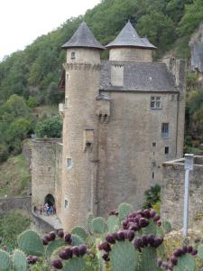 Appartements Les dessous de la grange : photos des chambres