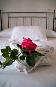 Andros Studios Tetrafylli - 圣彼得罗斯