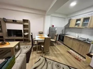 Lagadin apartment - 孔吉斯克