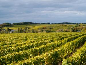 Maisons de vacances Cottage du vigneron : photos des chambres